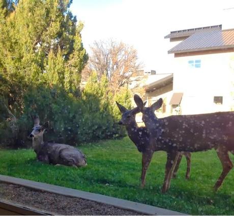 Travertine and Scrabble Travertine and Scrabble