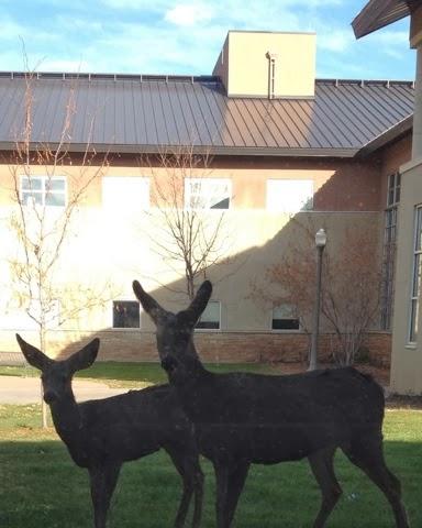 Travertine and Scrabble Travertine and Scrabble