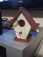 Scrapbook Paper & Bird Houses