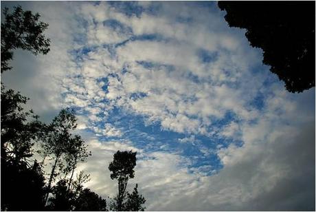 Weather at Coorg