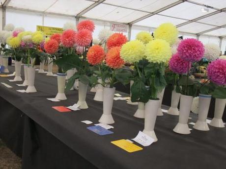 2011_09250006 Wordless Wednesday – Images of Malvern Autumn Show