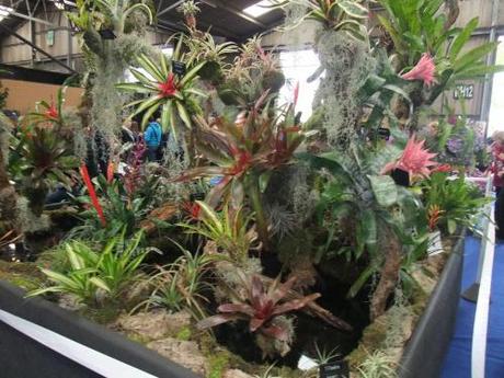 2011_09250025 Wordless Wednesday – Images of Malvern Autumn Show