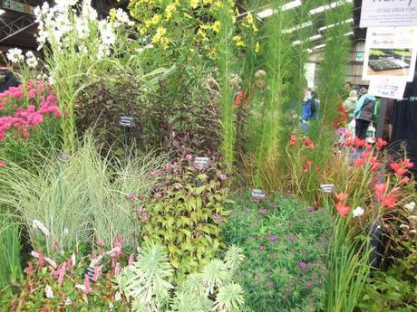 2011_09250026 Wordless Wednesday – Images of Malvern Autumn Show