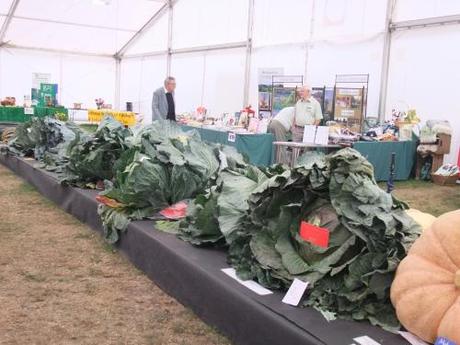 2011_09250013 Wordless Wednesday – Images of Malvern Autumn Show