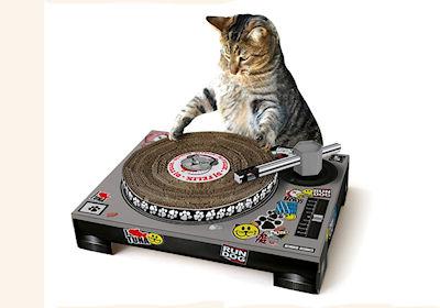 Cat Scratch Turntable