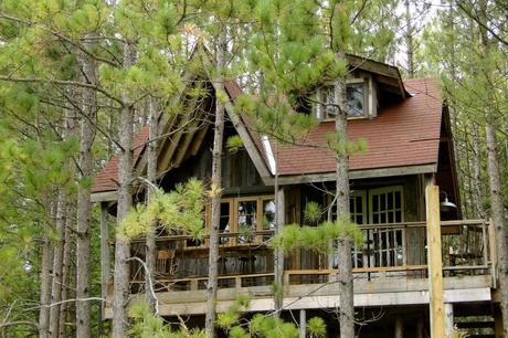 IDEAL WORLD : Everyone should have an adult tree house