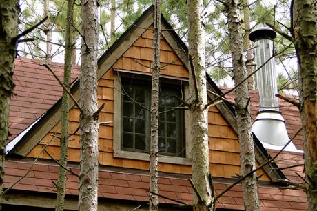 IDEAL WORLD : Everyone should have an adult tree house