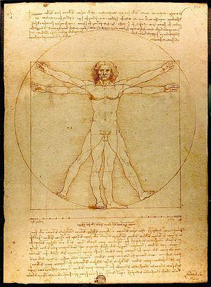 Vitruvian Man by Leonardo da Vinci, Galleria d... Vitruvian Man by Leonardo da Vinci, Galleria d...