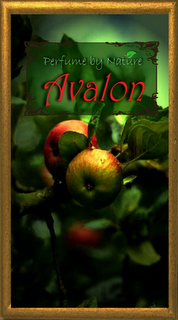 Avalon...an adventure in mystical apples