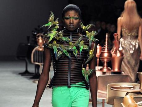 Bird Taxidermy at Manish Arora, one of my favorite fashion... Bird Taxidermy at Manish Arora, one of my favorite fashion brands.
All those colours, prints, textures and playful silhouettes make me drool, but add a bit of bird taxidermy into the mix and im in heaven :)
xoxo LLM