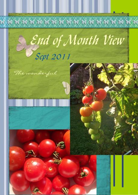 End of Month View: September 2011