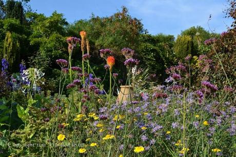 Wordless Wednesday : Denmans Garden, West Sussex