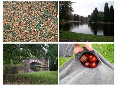I love Autumn I love Autumn
