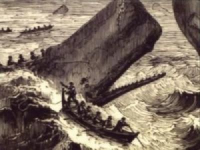 Into the Deep: America, Whaling & the World