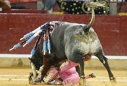 Juan José Padilla caught by bull