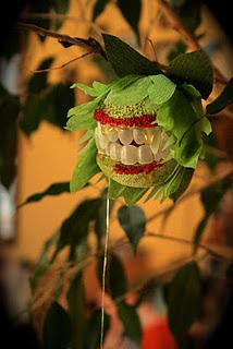 Man Eating Plants