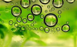 biofuel bubbles 300x185 Biofuel as an alternative