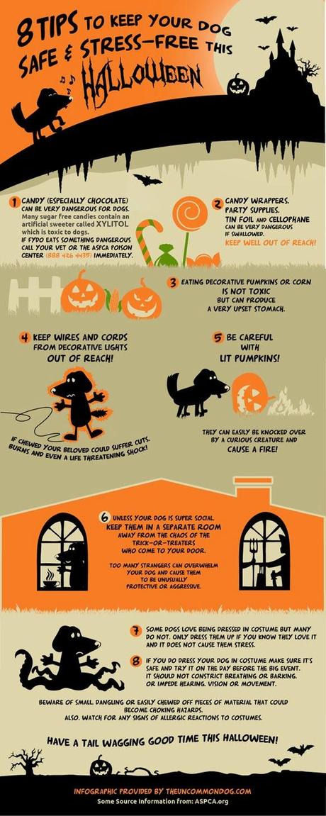 INFOGRAPHIC: 8 TIPS to Keep Your DOG Safe this Halloween!