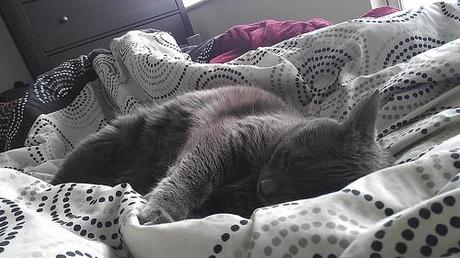 Much Too Long… Dizzy