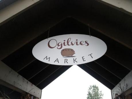 Much Too Long… 20131006_095158