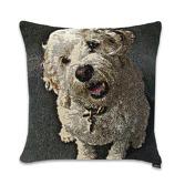 Art on pillows Art on pillows