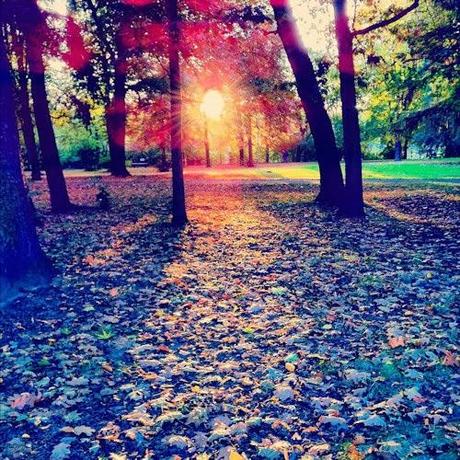Autumn Essentials: Must Have Items and Ideas For A Cozier, Happier Season Autumn Essentials: Must Have Items and Ideas For A Cozier, Happier Season