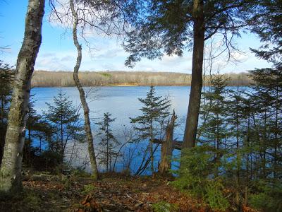 IAT:  Wood Lake Segment
