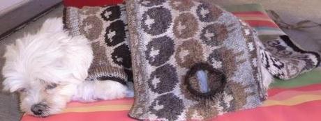 It's Wovember! It's Wovember!