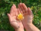 Try something clever and you'll thank yourself for It Try something clever and you'll thank yourself for It