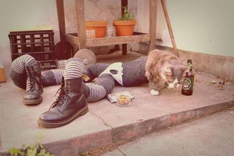  - hilarious-photos-of-cats-wearing-tights-L-CHE875