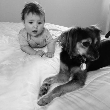 Little Things image(10)