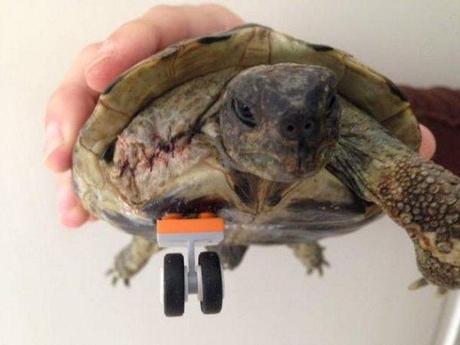 turtle-lego-prosthetic