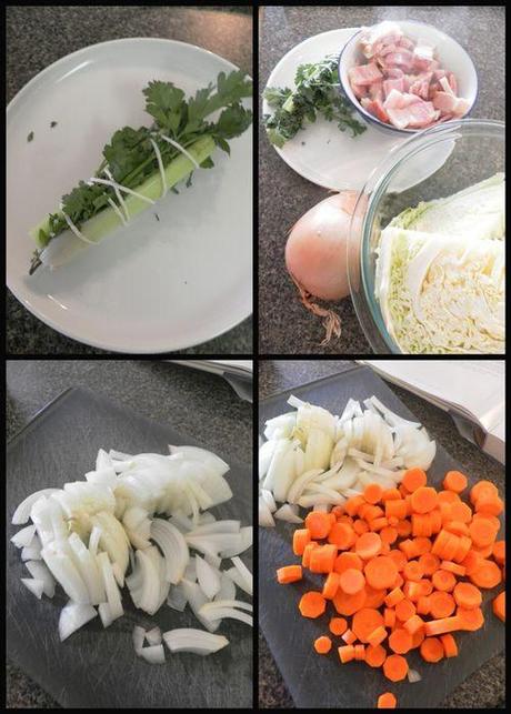 Cornish Hen and savoy cabbage-collage1