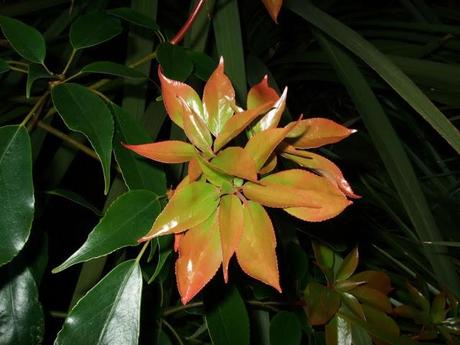 ...And Then We Turned Three ...And Then We Turned Three