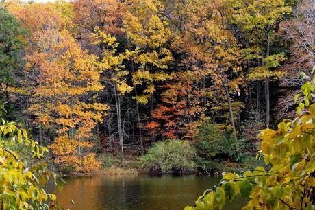 Fall Colors at Durand Eastman Park [Sky Watch Friday & Orange You Glad It's Friday]