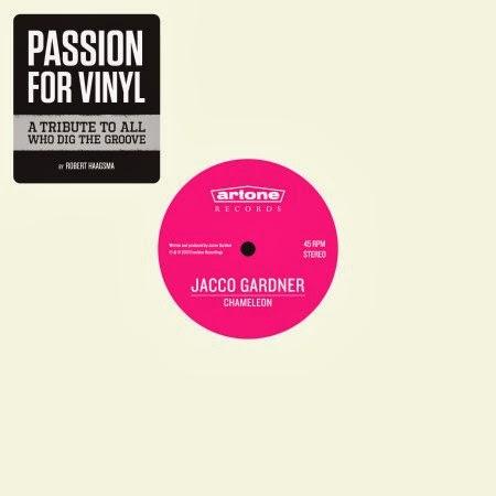 Passion For Vinyl - A tribute to all who dig the groove