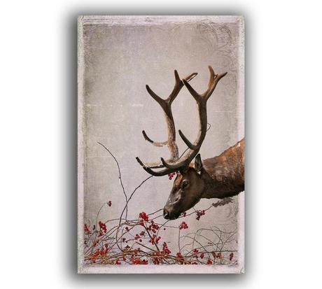 https://www.etsy.com/listing/168109595/reindeer-card-free-shipping-winter?ref=shop_home_active