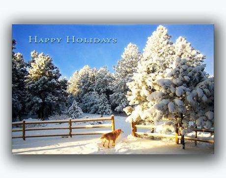 https://www.etsy.com/listing/167768188/golden-retriever-dog-holiday-card-free?ref=shop_home_active