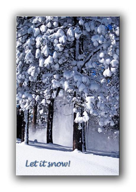 https://www.etsy.com/listing/167982193/let-it-snow-nature-holiday-card-free?ref=shop_home_feat