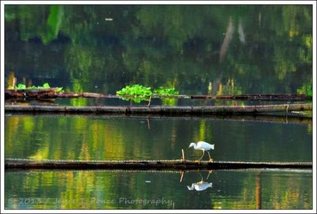 Lake Sebu Jessie T. Ponce Photography