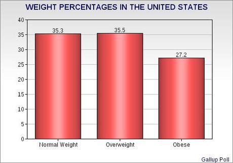 Should Government Be Responsible For Reducing Obesity In The United States ?