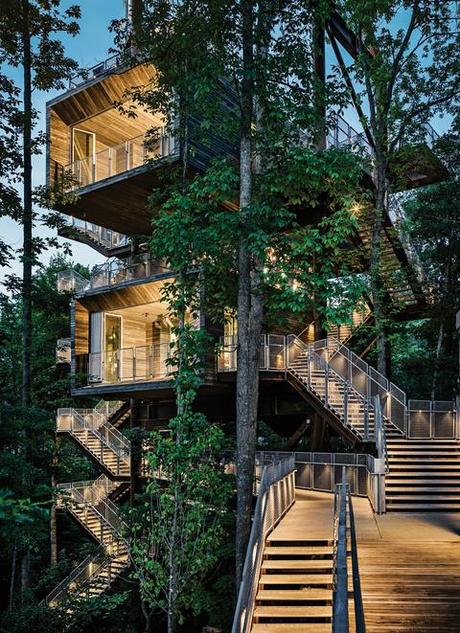 sustainable tree house in west virginia 