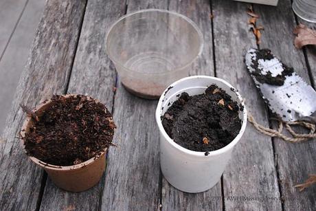 Homemade compost (left) and worm castings (right).