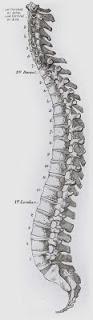 Friday Q&A: Kyphosis (Dowager's Hump) Friday Q&A: Kyphosis (Dowager's Hump)