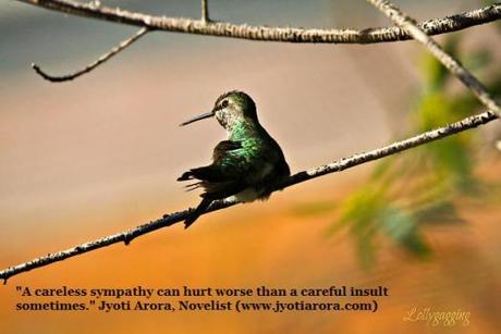 A Careless Sympathy careless sympathy