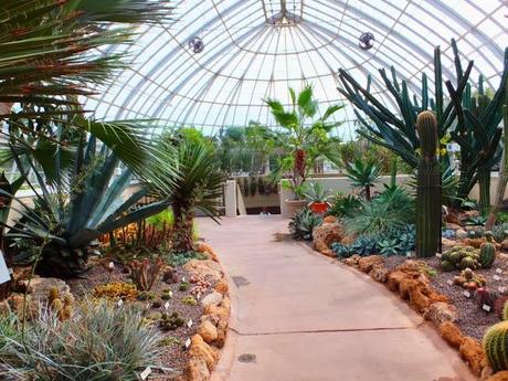 NYBG Conservatory - Deserts of America and Africa