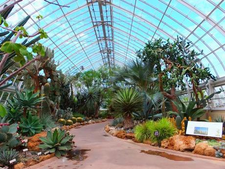 NYBG Conservatory - Deserts of America and Africa