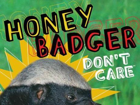 Cover art for Honey Badger Don't Care (Link)