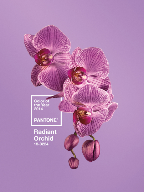 Pantone’s Radiant Orchid is the color of 2014 Color of the Year for 2014: PANTONE 18-3224 Radiant Orchid