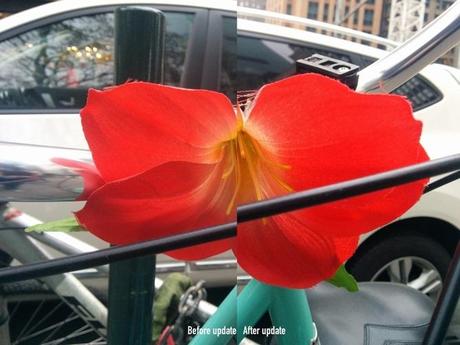android-kitkat-update-nexus-5-camera Android update improved Nexus 5 Camera